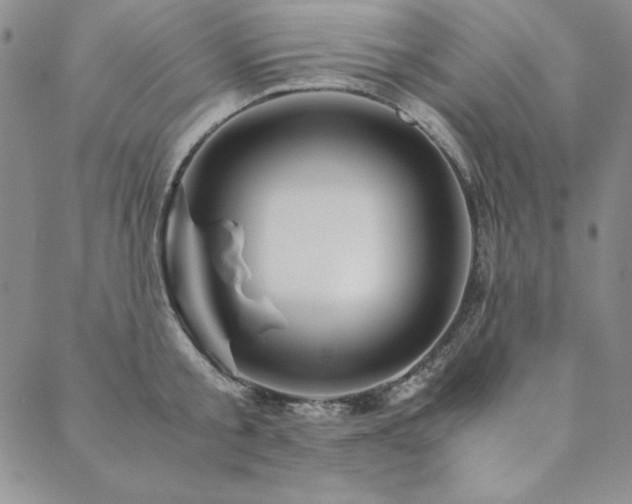 X0000090490805200707131326