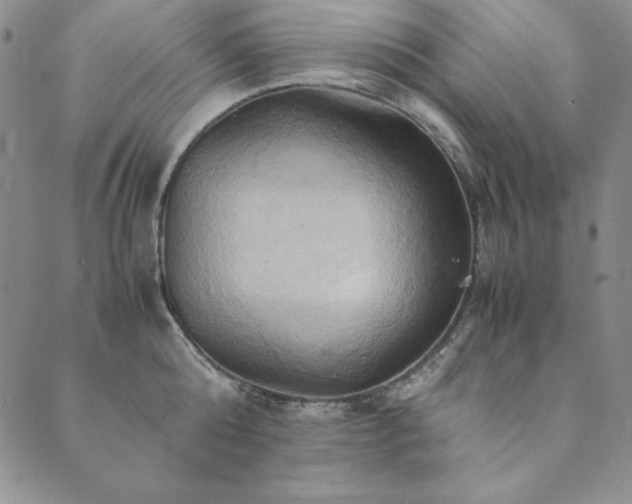 X0000090490808200707131326