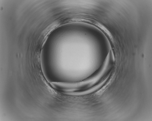 X0000090490809200707131326