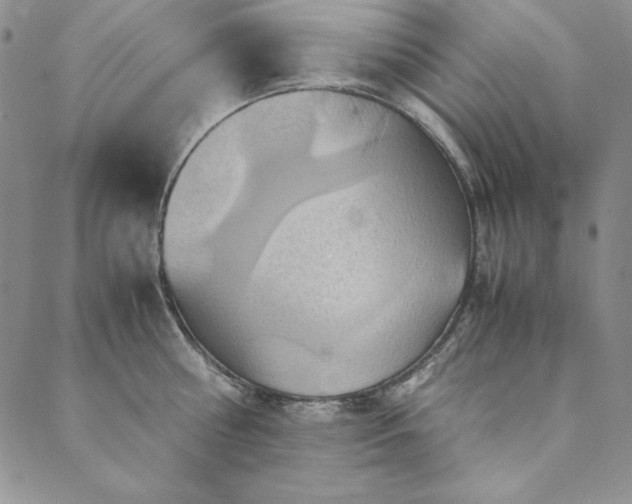 X0000090490810200707131326