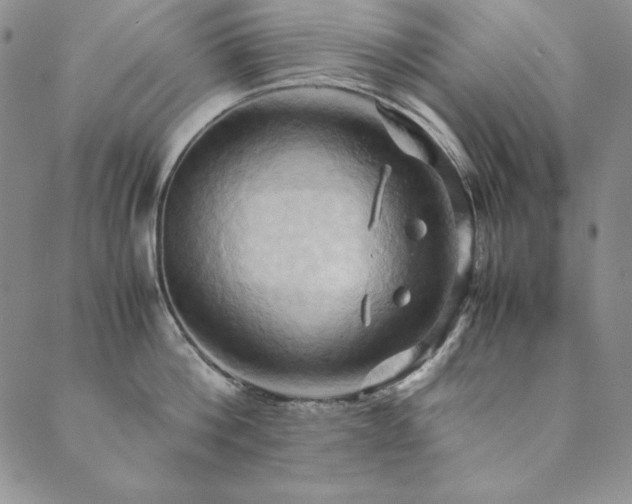 X0000090490812200707131326