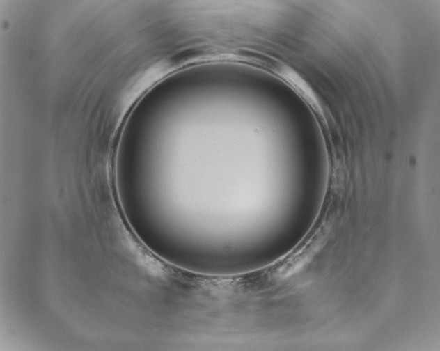 X0000090490813200707131326