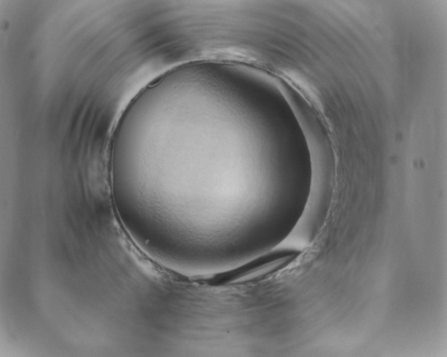 X0000090490816200707131326