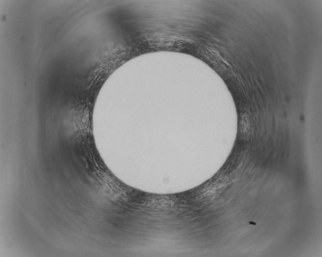 X0000090490820200707131325