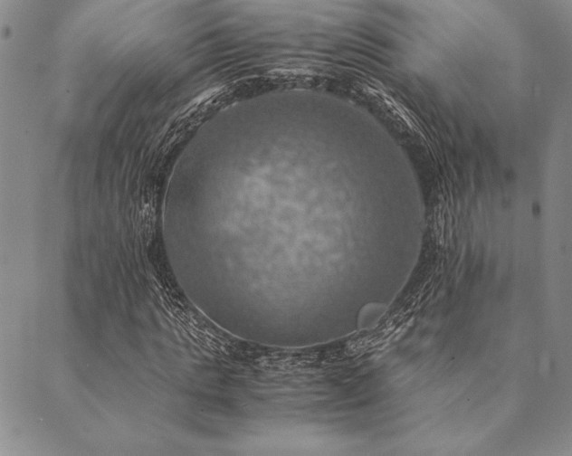 X0000090490821200707131325