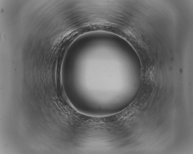X0000090490822200707131325