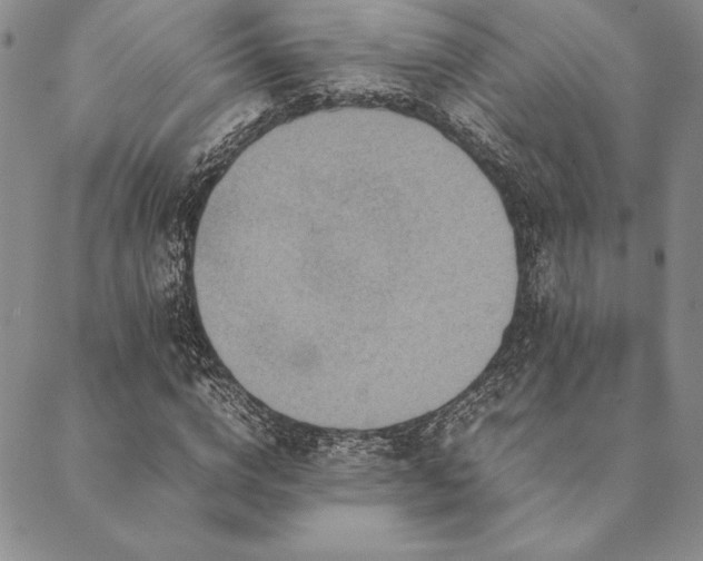 X0000090490824200707131325