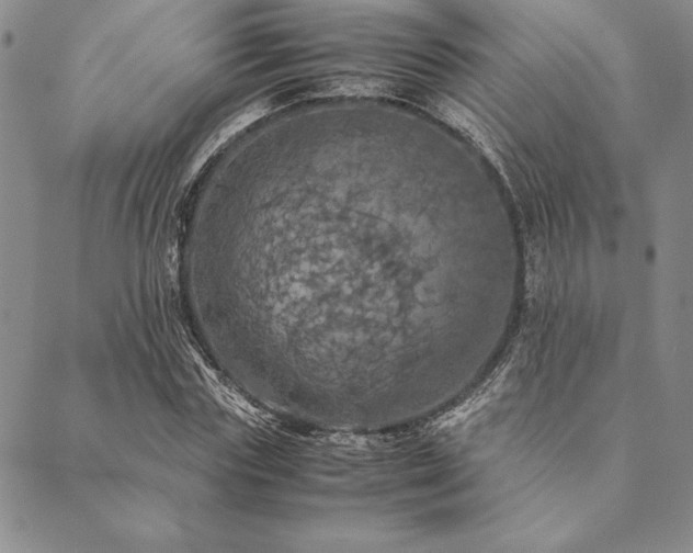 X0000090490827200707131325