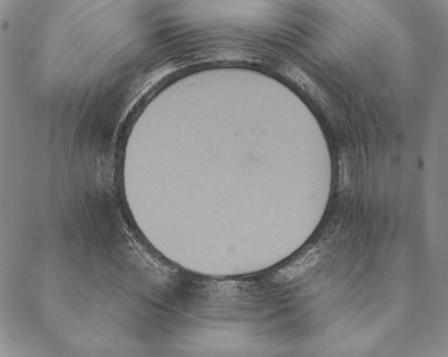 X0000090490828200707131325