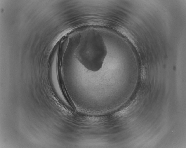 X0000090490829200707131325