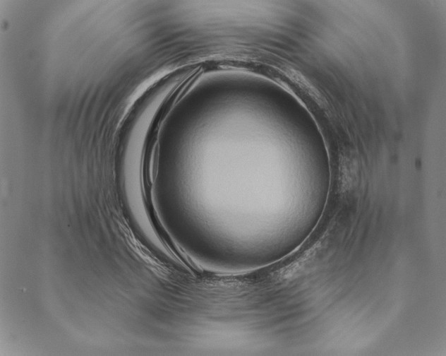 X0000090490830200707131325