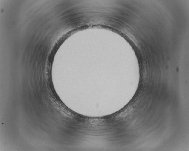 X0000090490832200707131325