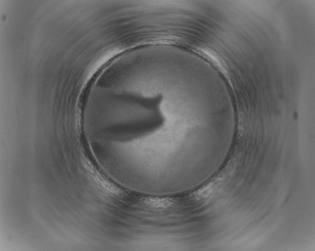 X0000090490835200707131325