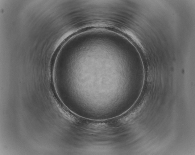 X0000090490837200707131325