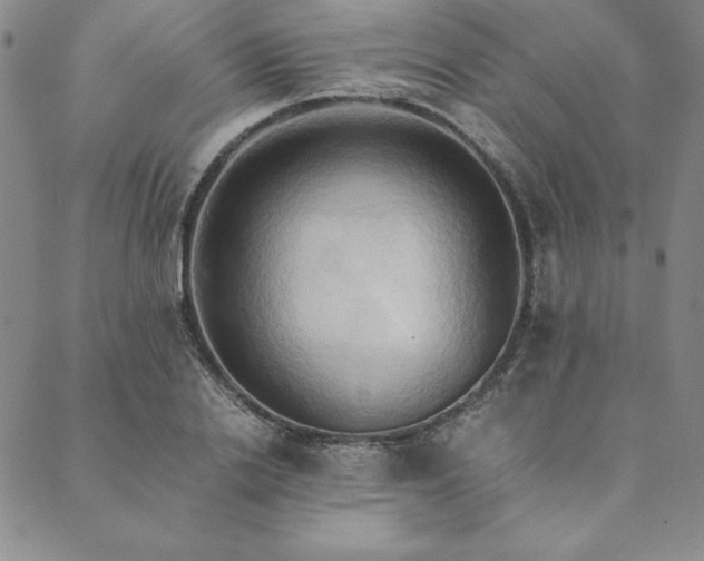X0000090490838200707131325
