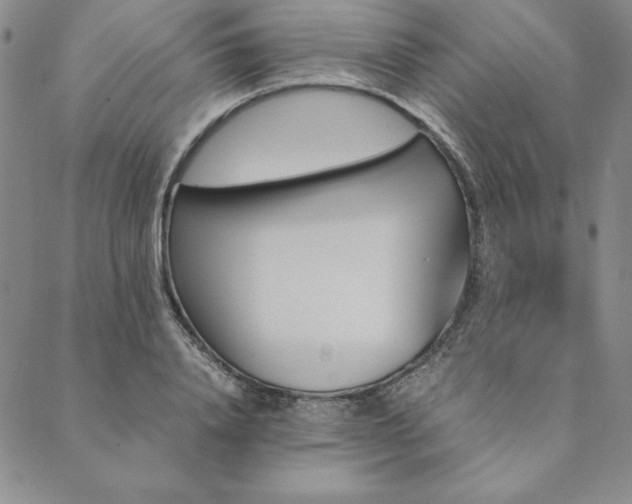X0000090490840200707131325