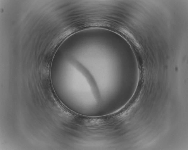 X0000090490841200707131325