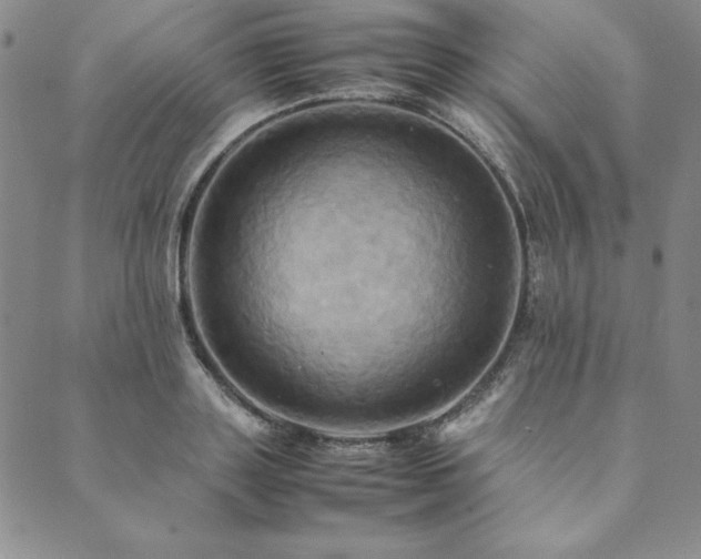 X0000090490843200707131325