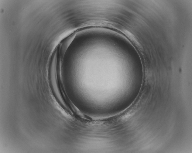 X0000090490846200707131325