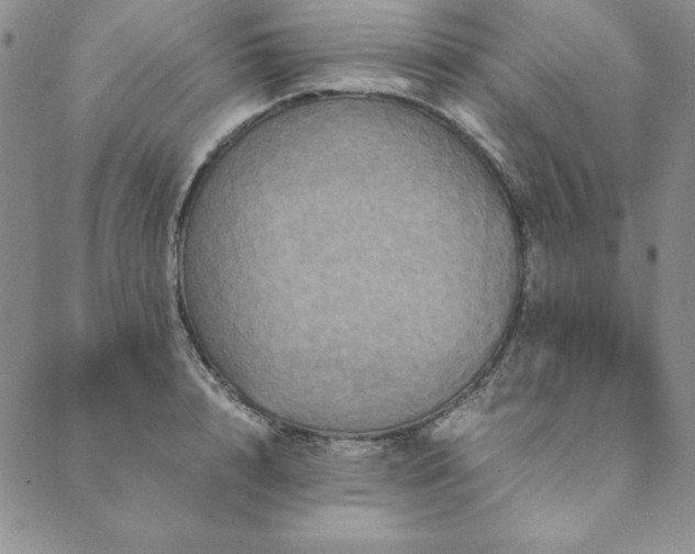 X0000090490848200707131325
