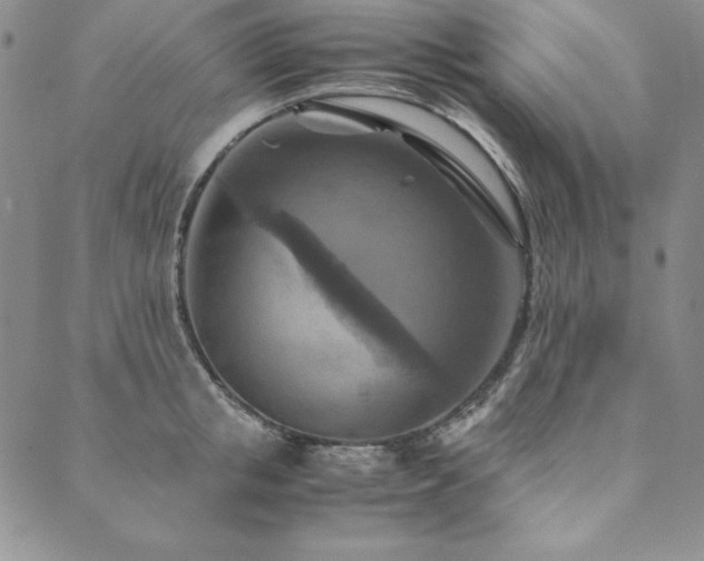 X0000090490853200707131325