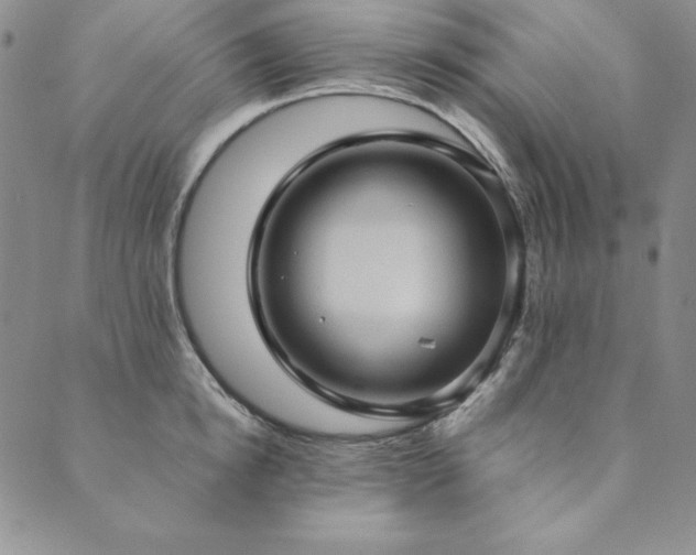 X0000090490854200707131325