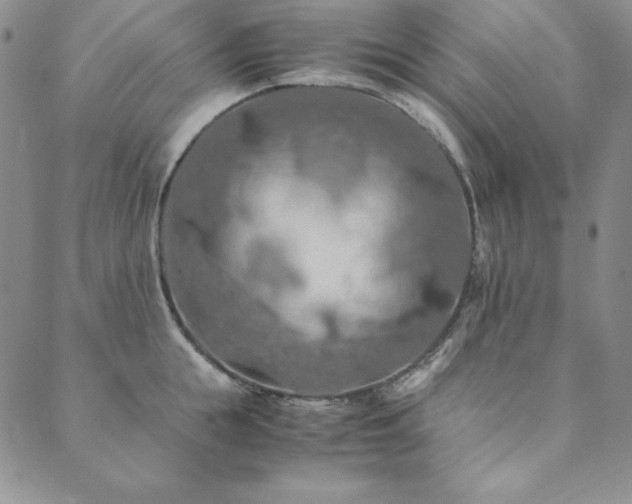 X0000090490855200707131325