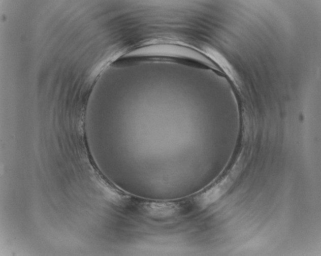 X0000090490857200707131325