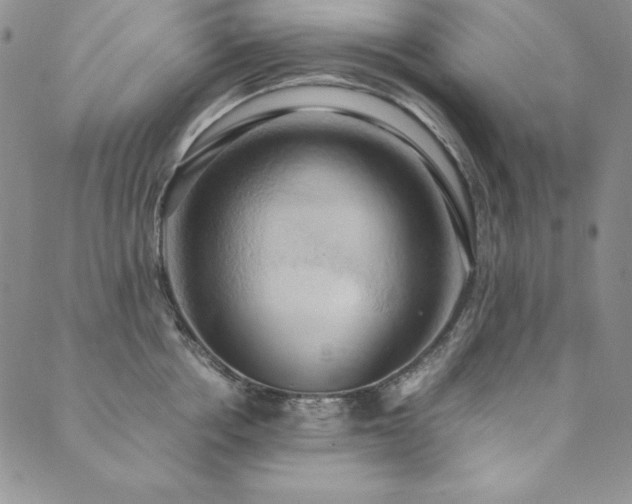X0000090490858200707131325
