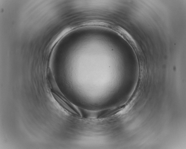X0000090490860200707131325
