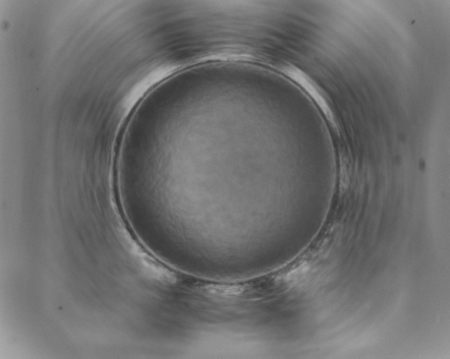 X0000090490861200707131325