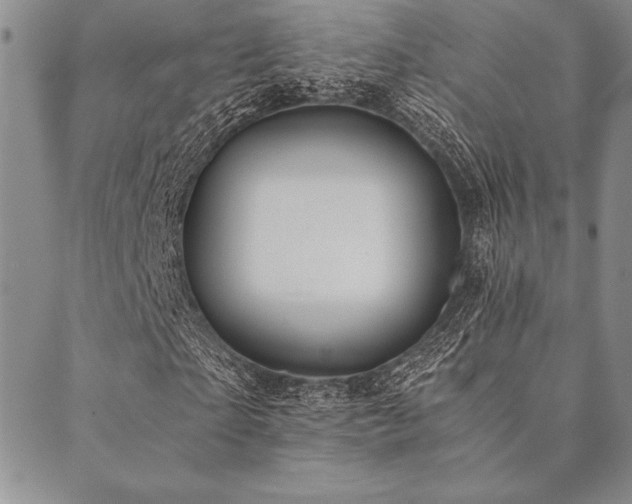 X0000090490865200707131325