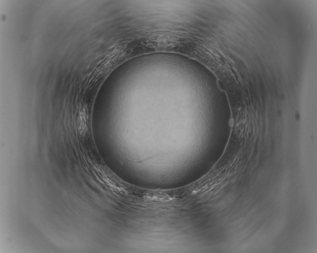 X0000090490866200707131325