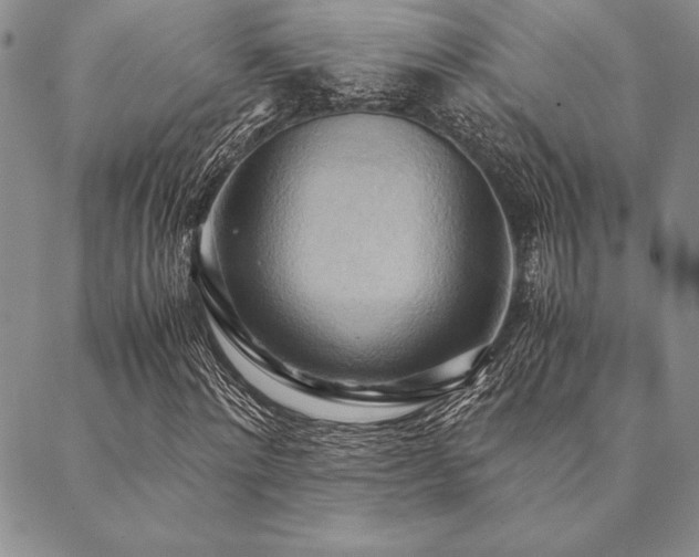 X0000090490868200707131325