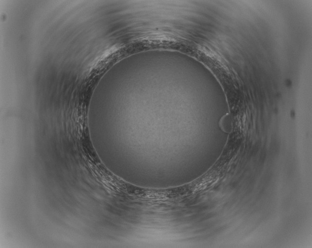 X0000090490870200707131325
