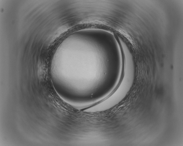 X0000090490872200707131325