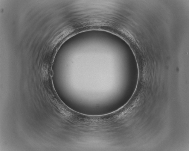 X0000090490873200707131325