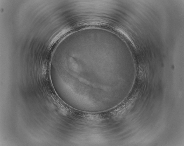 X0000090490874200707131325