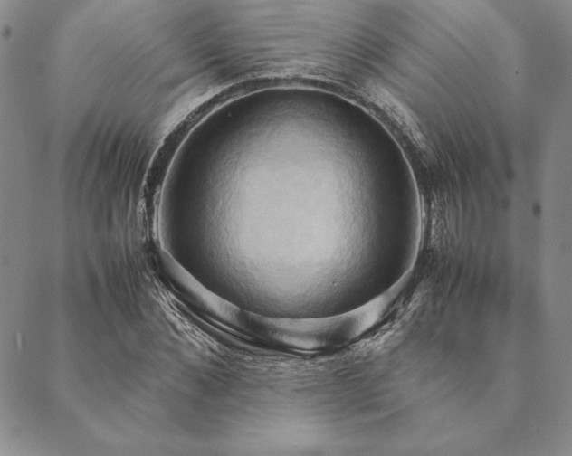 X0000090490876200707131325