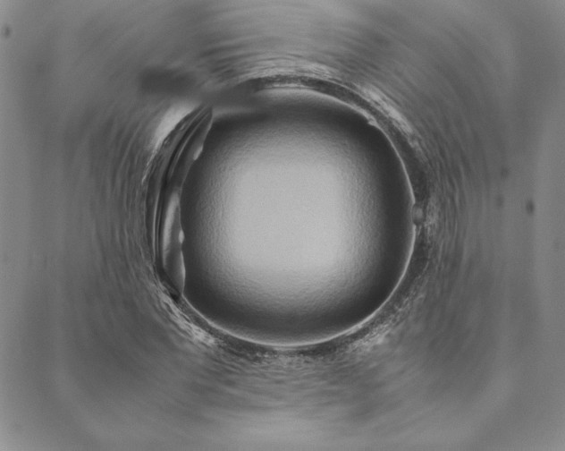 X0000090490877200707131325
