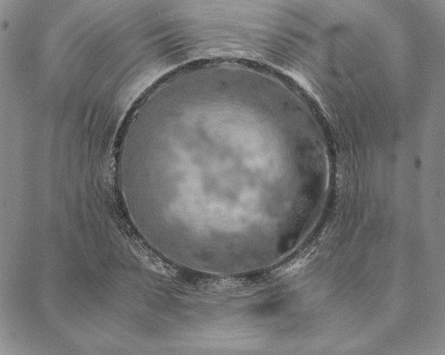 X0000090490879200707131325