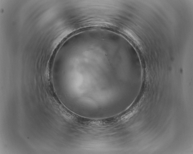X0000090490883200707131324