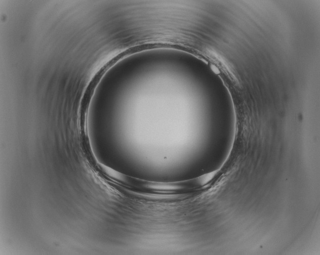 X0000090490884200707131324