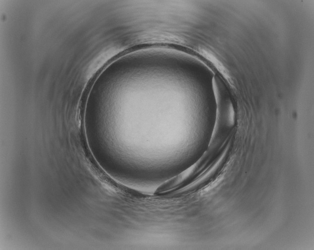 X0000090490885200707131324