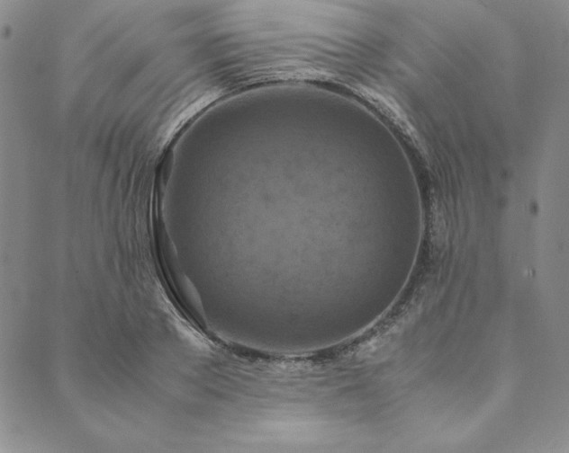 X0000090490889200707131324