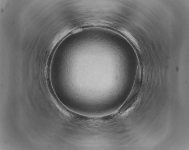 X0000090490893200707131324