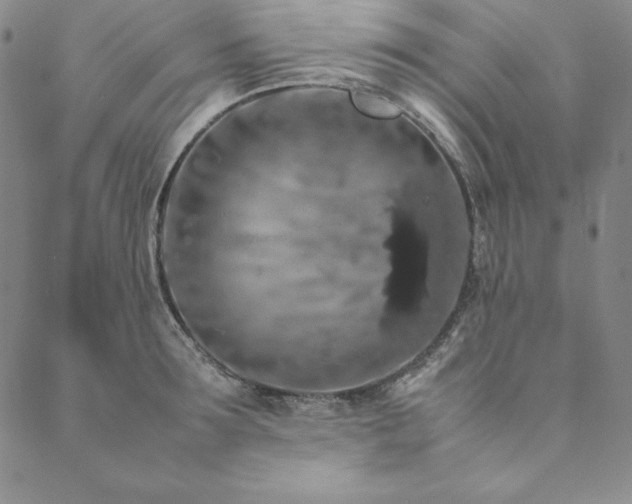 X0000090490899200707131324