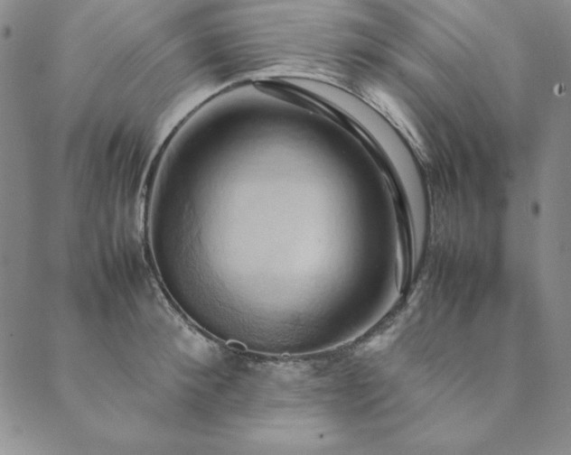 X0000090490900200707131324