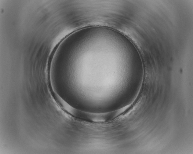 X0000090490902200707131324