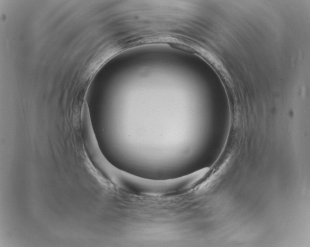 X0000090490905200707131324